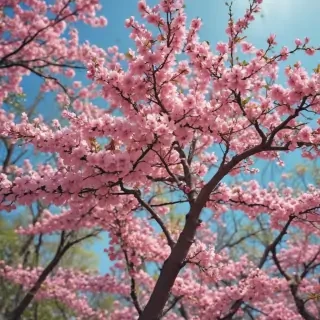 springtime iphone wallpaper