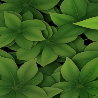 green leaves png
