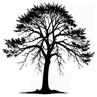 tree silhouette png