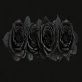 black roses png