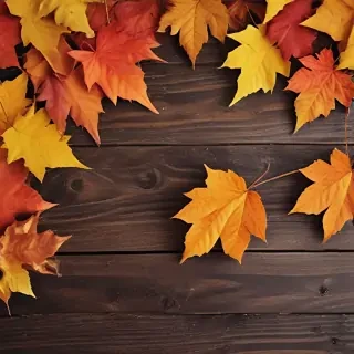 fall iphone background