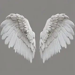 angel wings png transparent