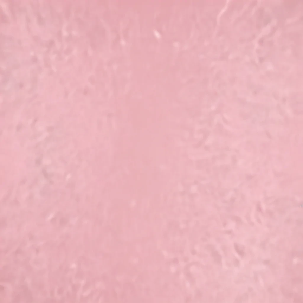 plain light pink background