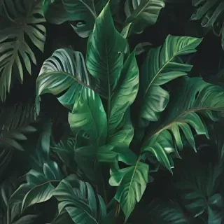 plant wallpaper iphone