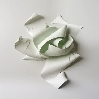 crumpled up paper
