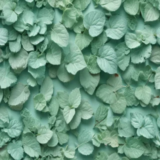 mint background