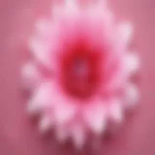 cute wallpaper pink