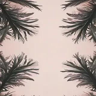 fondos aesthetic