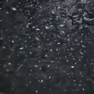 snow falling png