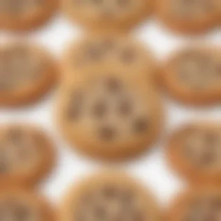 chocolate chip cookies png