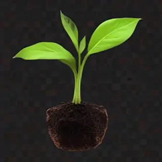seedling png
