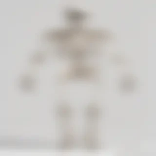 skeleton transparent background