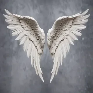 angel wing images