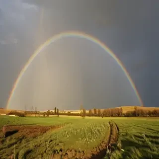 rainbow pictures