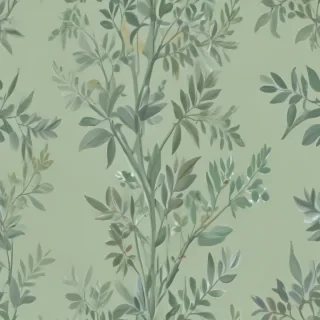 sage green wallpaper iphone