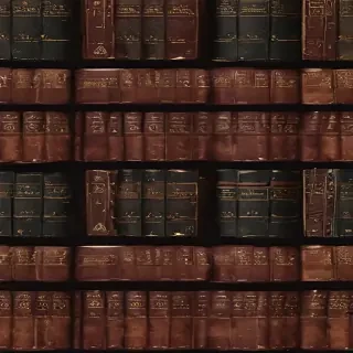 books icon aesthetic