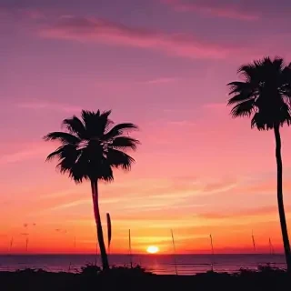 aesthetic wallpaper sunset