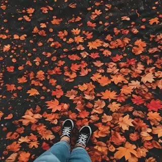 fall wallpaper iphone aesthetic