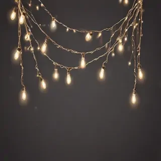 fairy lights png