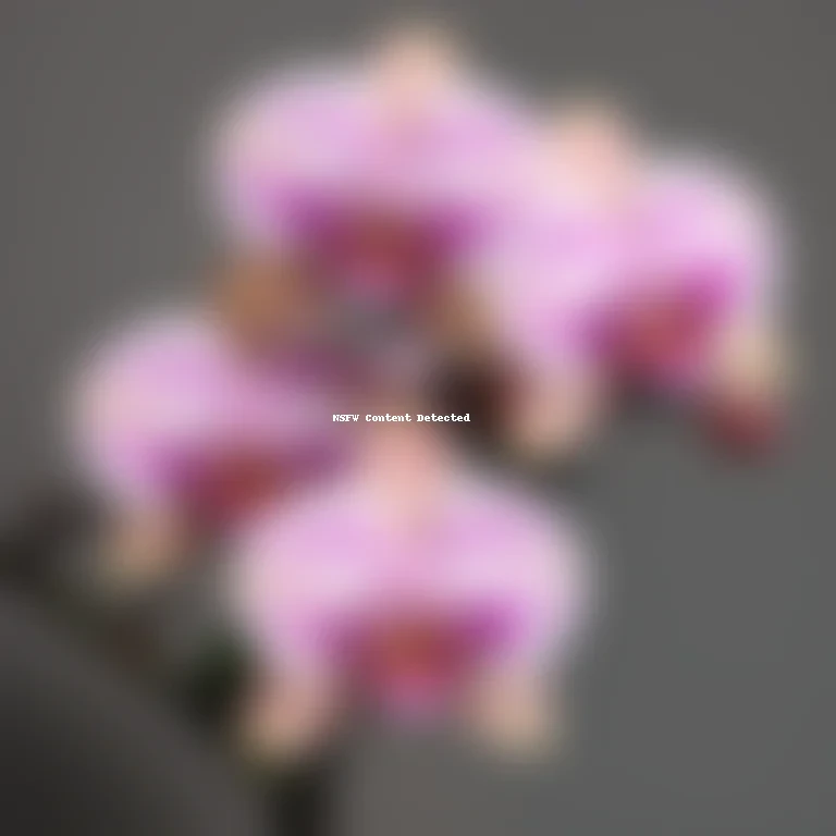 orchid png
