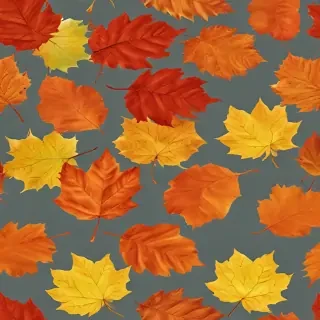 fall leaves png transparent