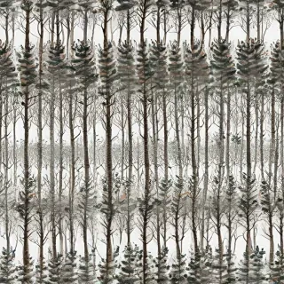 trees transparent