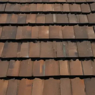 shingles images