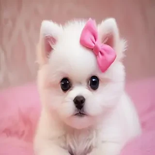 cute pink photos