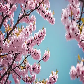 spring wallpaper iphone