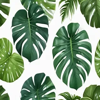 monstera png