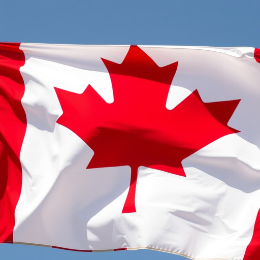 Create a high-resolution image of the Canadian flag with vibrant colors, using a DSLR camera, 50mm lens, aperture f/8, ISO 100, natural light, shot from a straight-on view to emphasize the symmetry and details of the flag.