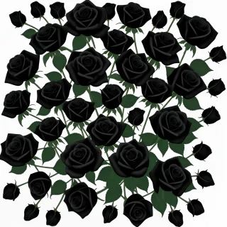 black roses png