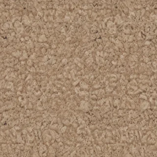 carpet png