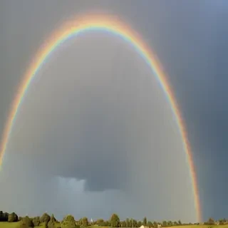 rainbow pictures