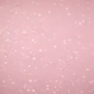 light pink plain background