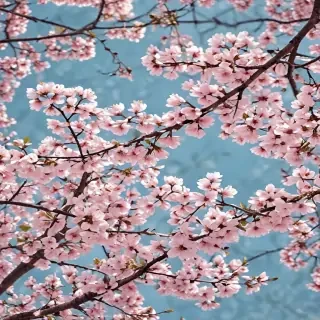 spring wallpaper phone