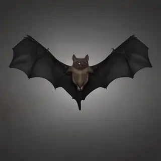 bat wings png