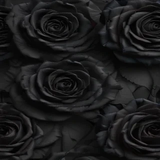 black roses png