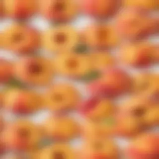 peach png