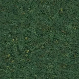 simple wallpapers aesthetic