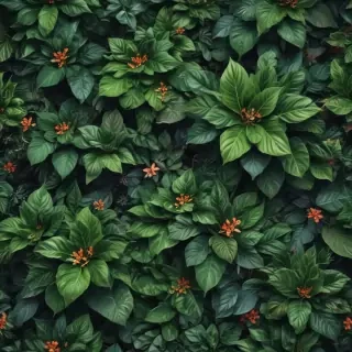 plant wallpaper iphone