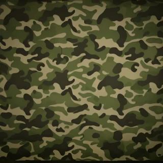 camo background