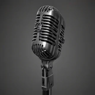 microphone .png