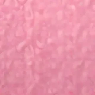 pink plain bg