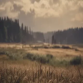 background war