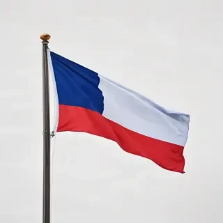 french flag png