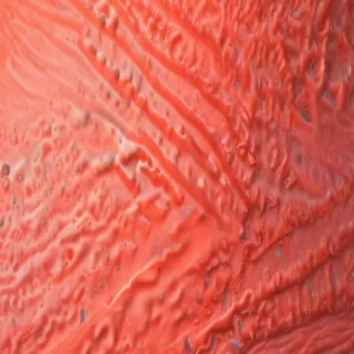 coral color