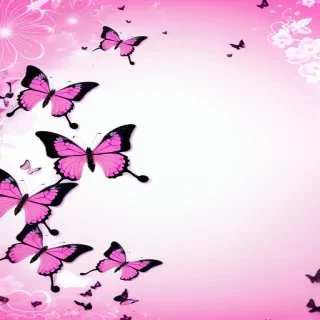 pink butterfly background