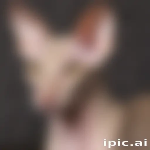 peterbald breed