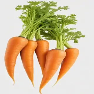 carrot png
